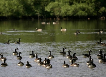 Meeting room Booths Park, Chelford Road WA16 8QZ Knutsford