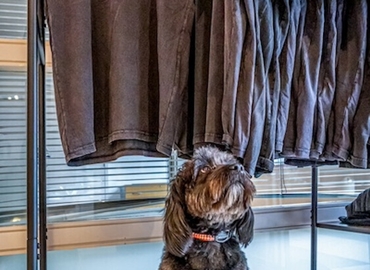 Office Peterborough Road 91 SW6 West London