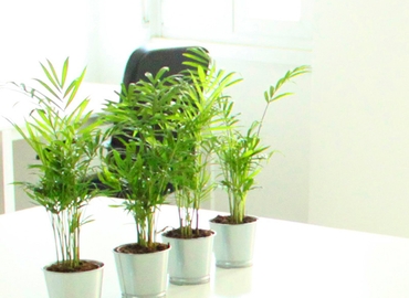 200 m² Shared office  in Milan, Via Friuli 68 (20135) - 20 | MatchOffice.com