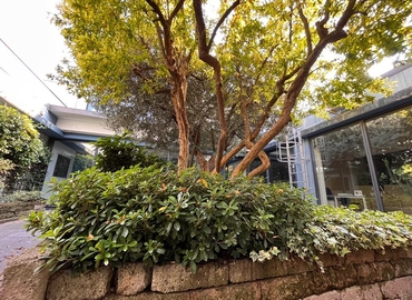 Esplora ufficio temporaneo adatto a Milano di 200 m², Via Figini 16 - 4 | MatchOffice