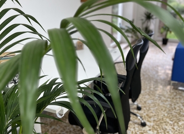 Trova spazio coworking adatto a Bari di 5 m², Via Giovanni Barnaba 34 - 6 | MatchOffice