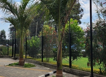 Office Millenium Business Park 00502 Nairobi