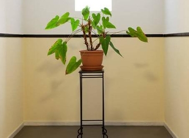 60 m² Shared office  in Nijmegen, Molenveldlaan 152 (6523 RN) - 4 | MatchOffice.com
