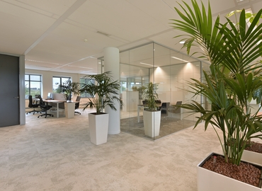 50 m² Co-working  in Arnhem, Meander 901 (6825 MH) - 1 | MatchOffice.com