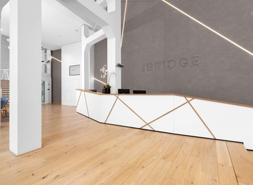 Coworking J.P. Coenstraat 7,The Bridge 2595 WP The Hague