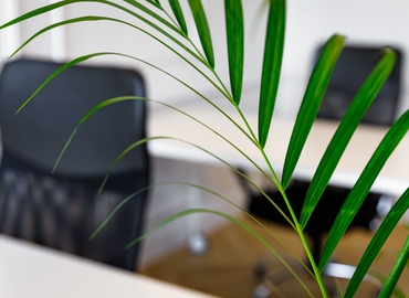 100 m² Coworking space  in Gdansk, aleja Grunwaldzka 26 (80-229) - 2 | MatchOffice
