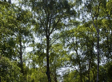 Kontorsrum(Yta:5000 m²)	för uthyrning i Malmö, Norra Bulltoftavägen 65, 212 21 Malmö Kirseberg. Endast från verifierade hyresvärdar | MatchOffice.se