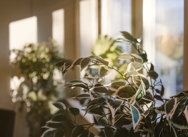 Kontor(Yta:790 m²)	att hyra i Kista, Finlandsgatan 10, 164 74 Kista. Endast från verifierade hyresvärdar | MatchOffice.se