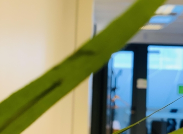 Kontorshotell(Yta:300 m²) att hyra i Måsholmstorget 3, 127 48 Skärholmen. Lång- och korttidsuthyrning | MatchOffice.se