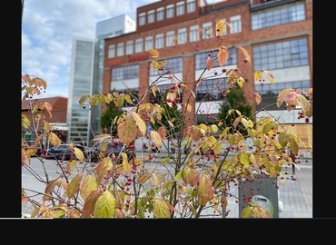 Kontorsrum(Yta:518 m²)	att hyra i Lidingö, Agavägen 58, 181 55 Lidingö. Fullt utbud av faciliteter | MatchOffice.se