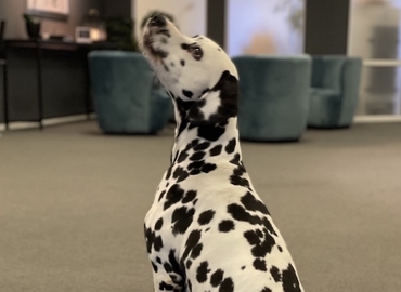 Kontorshotell(Yta:50 m²) att hyra i Stora Åvägen 21, 436 34 Göteborg Askim. WiFi-anslutning ingår | MatchOffice.se