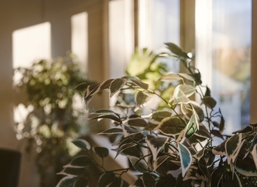 Kontorsrum(Yta:398 m²)	för uthyrning i Kista, Finlandsgatan 10, 164 74 Kista. Handikappanpassad | MatchOffice.se