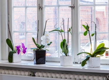 Företagshotell(Yta:21 m²) för uthyrning i Artillerigatan 6, 114 51 Östermalm. Lång- och korttidsuthyrning | MatchOffice.se