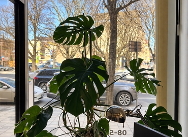 Företagshotell(Yta:15 m²) att hyra i Karlavägen 18, 114 31 Östermalm. Inga extra avgifter | MatchOffice.se