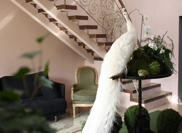 Book a 100 m² Conference center in Podolsky district, Vozdvyzhens'ka Street 60 A (04071) - 12 | MatchOffice.com