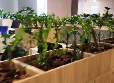 Бізнес-центр вулиця Московська 32 02000 Київ