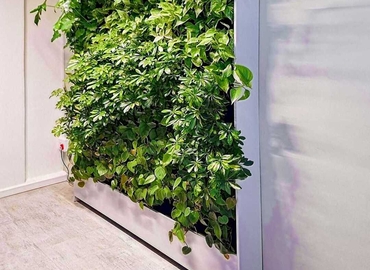 10 m² Shared office in George, 97 York St (6529) - 7 | MatchOffice.com