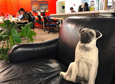 75 m² Meeting room in Toronto, Niagara Street 229 (M6J 2L5) - 12 | MatchOffice