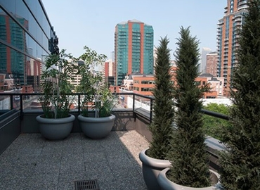 5000 m² Serviced office in Calgary, AB, 909 17th Avenue SW (T2T 0A4) - 8 | MatchOffice