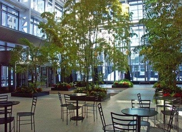 500 m² Serviced office place up for rent in Montreal, QC, 1250 René Lévesque Blvd. (H3B 4W8) - 7 | MatchOffice.com