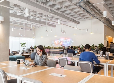 100 m² Co-working  in Monterrey, Avenida Eugenio Garza Sada Sur 1892 (64740) - 3 | MatchOffice