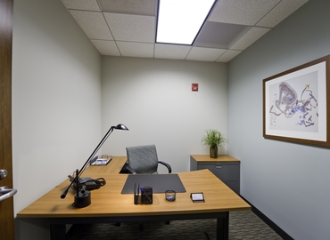 250 m² Business space in Oakbrook Terrace, IL, 18W140 Butterfield Road (60181) - 5 | MatchOffice.com
