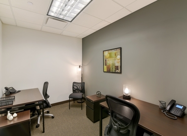 250 m² Business center in New York Midtown East, NY, 100 Duffy Avenue (11801) - 7 | MatchOffice