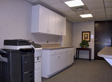 50 m² Business center in Schaumburg, IL, 1320 Tower Road Schaumburg (60173) - 3 | MatchOffice
