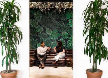 50 m² Business center in New York City, NY, Hudson Street 205 (10013) - 2 | MatchOffice