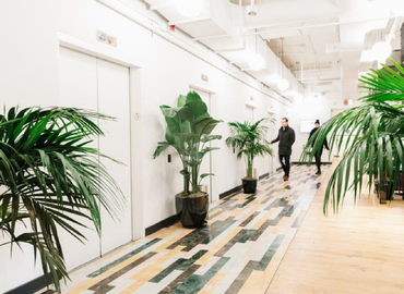 50 m² Shared workspace  in New York City, NY, Broadway 115 (10006) - 2 | MatchOffice