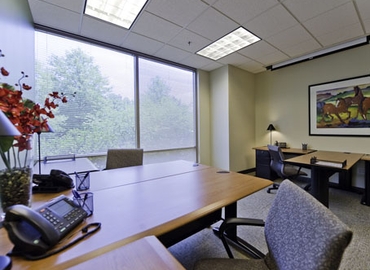 250 m² Shared office  in Atlanta, GA, Deerfield Parkway (12600) - 1 | MatchOffice