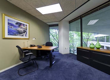 250 m² Coworking  in Atlanta, GA, 3525 Piedmont Road (30305) - 4 | MatchOffice