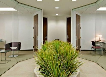 1000 m² Co-working in New York Midtown West, NY, 1221 Avenue of the Americas (10020) - 7 | MatchOffice.com