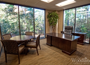 10764 m² Coworking  in The Woodlands, TX, 1095 Evergreen Circle (77380) - 1 | MatchOffice