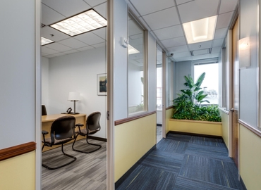 225 m² Shared workspace  in Fairfax, VA, 11325 Random Hills Rd. Suite 360 (22030) - 6 | MatchOffice.com