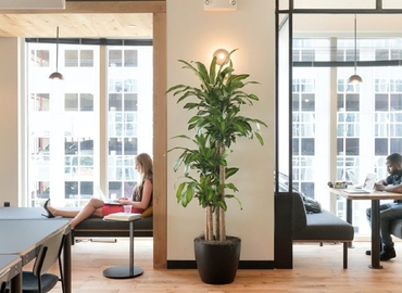 500 m² Shared office  in Atlanta, GA, 3280 Peachtree Road NE (30305) - 0 | MatchOffice