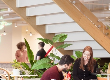 150 m² Business park place up for rent in Tampa, FL, 501 East Kennedy Boulevard (33602) - 3 | MatchOffice