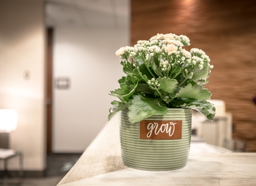 48000 m² Business space place up for rent in Minneapolis, MN, South 8th Street 80 (55402) - 20 | MatchOffice.com