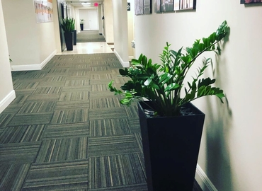 1200 m² Business office up for rent in Fort Lauderdale, FL, 1975 E Sunrise Blvd., 33304 - 1 | MatchOffice