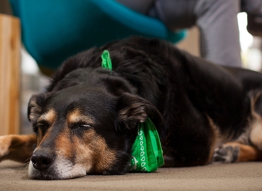 300 m² Business space in Santa Cruz, CA, 325 Soquel Ave. (95062) - 6 | MatchOffice.com