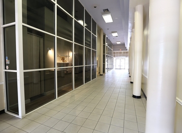 10000 m² Business space in Miami Lakes, FL, 5881 NW 151st St (33014) - 8 | MatchOffice.com