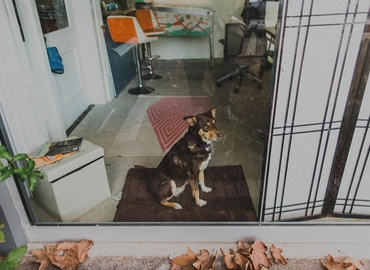 40 m² Coworking  in San Diego, CA, 30th Street 3919 (92104) - 5 | MatchOffice