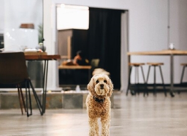 40 m² Meeting room in Irvine, CA, 17322 Murphy Avenue (92614) - 7 | MatchOffice.com