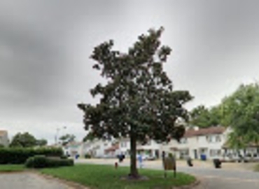 2260 m² Business space in Virginia Beach, VA, 900 Commonwealth Place (23464) - 20 | MatchOffice