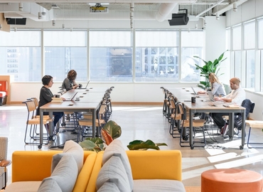 1076 m² Business park in Chicago, IL, North State Street 515 (60654) - 1 | MatchOffice.com