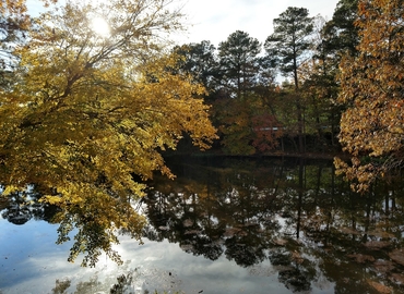 2691 m² Business park in Birmingham, AL, One Chase Corporate Center (35244) - 3 | MatchOffice.com