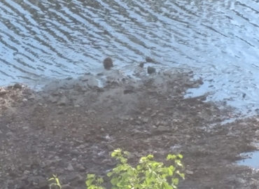 Virtual office space in Birmingham, AL, One Chase Corporate Center (35244) - 3 | MatchOffice.com