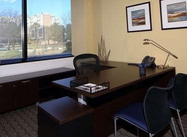 1076 m² Coworking space  in Lisle, IL, Opus Place 1431 (60515) - 0 | MatchOffice