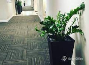 12000 m² Business space in Fort Lauderdale, FL, East Sunrise Boulevard 1975 (33304) - 5 | MatchOffice.com