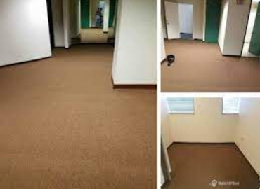 8667 m² Business park in Miami, FL, Northwest 62nd Street 2173 (33147) - 4 | MatchOffice